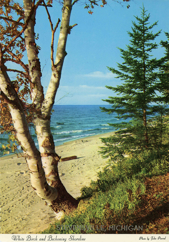 postcard